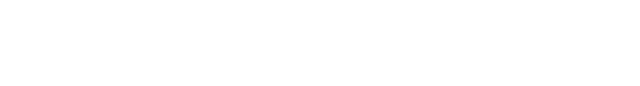 Auto Haus